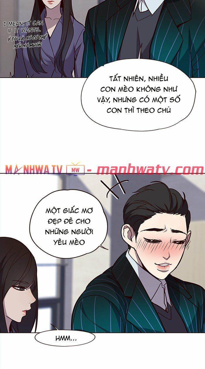 Hoá Thân Thành Mèo: Chapter 28
