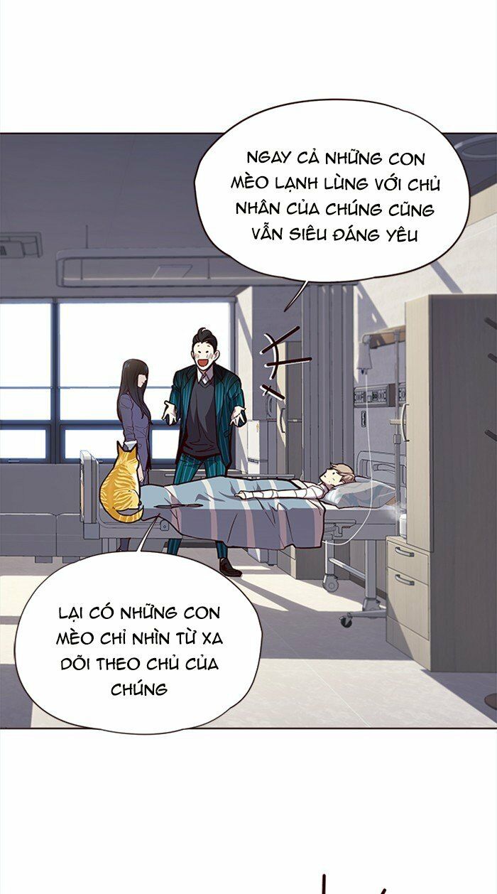 Hoá Thân Thành Mèo: Chapter 28