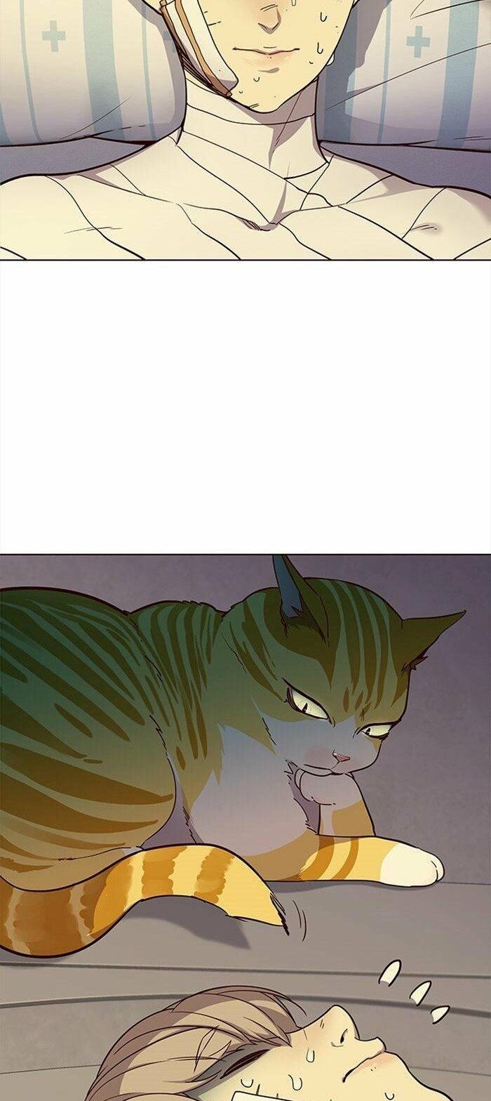 Hoá Thân Thành Mèo: Chapter 29