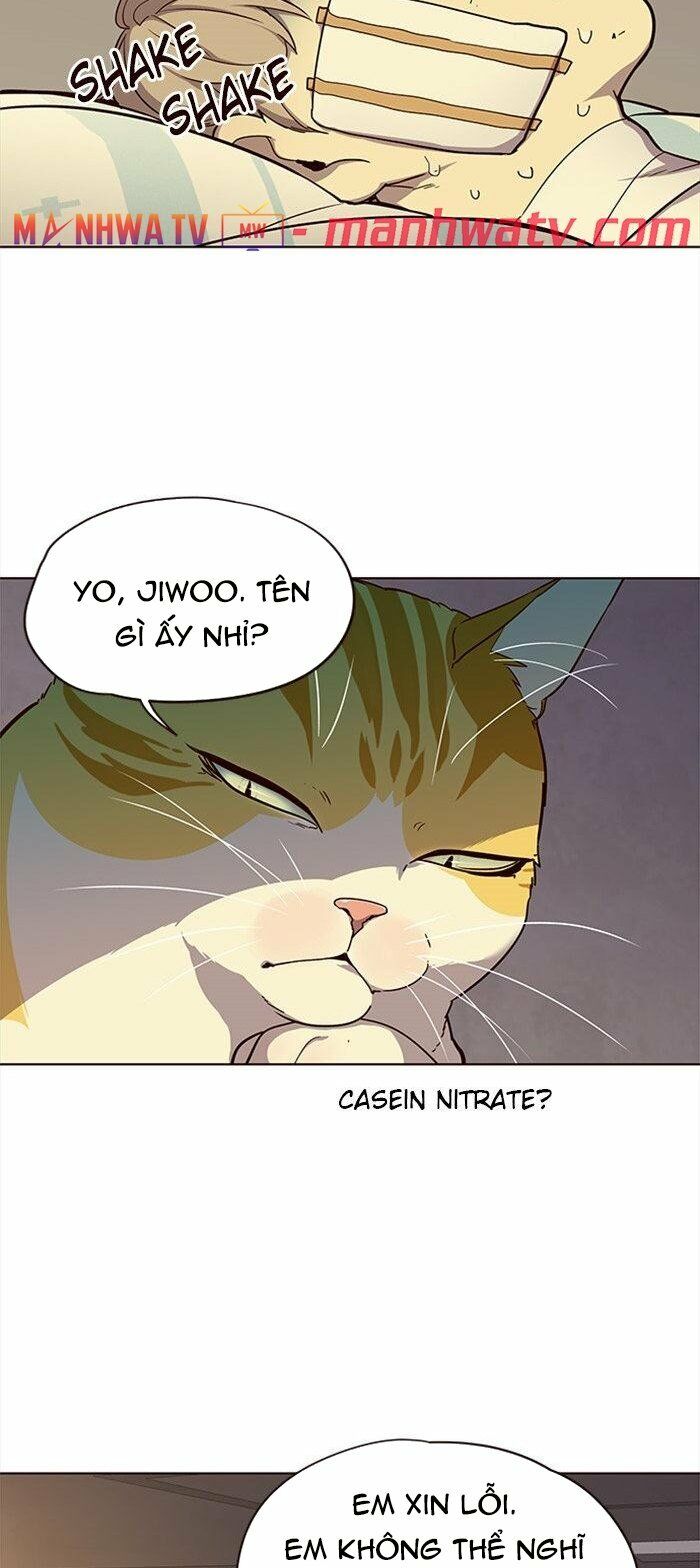 Hoá Thân Thành Mèo: Chapter 29