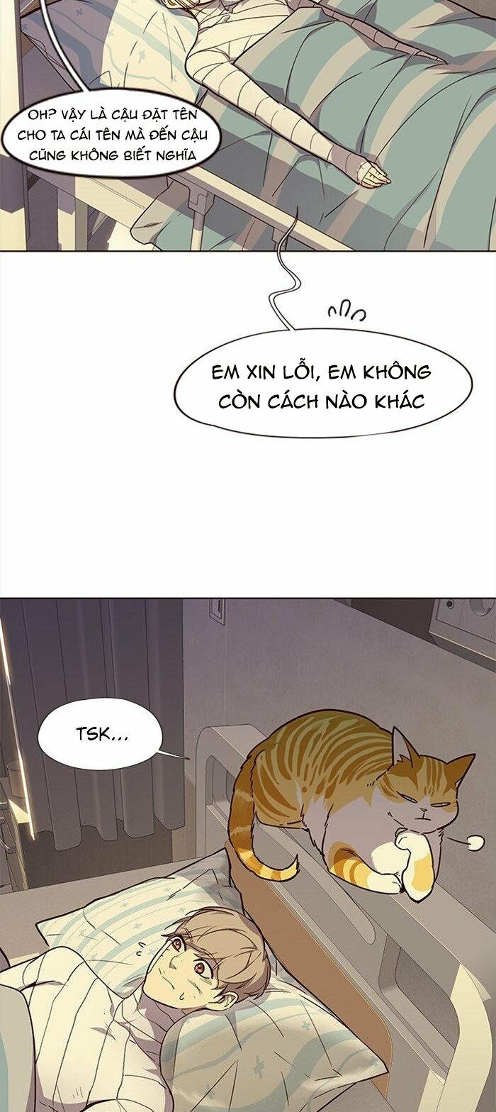 Hoá Thân Thành Mèo: Chapter 29