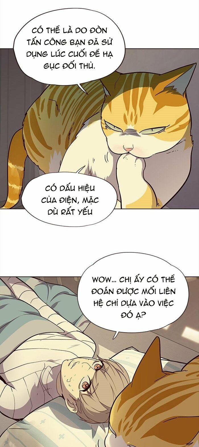 Hoá Thân Thành Mèo: Chapter 29