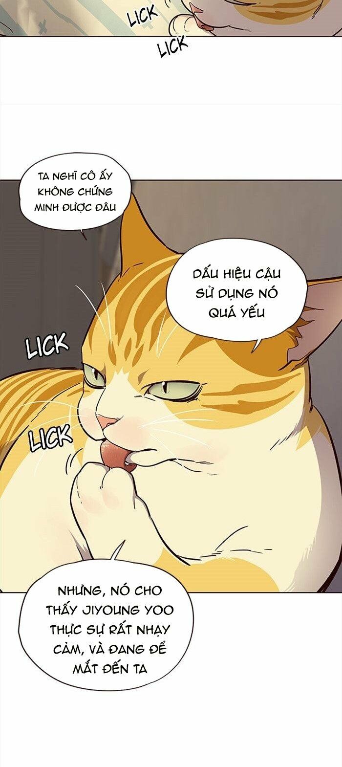 Hoá Thân Thành Mèo: Chapter 29