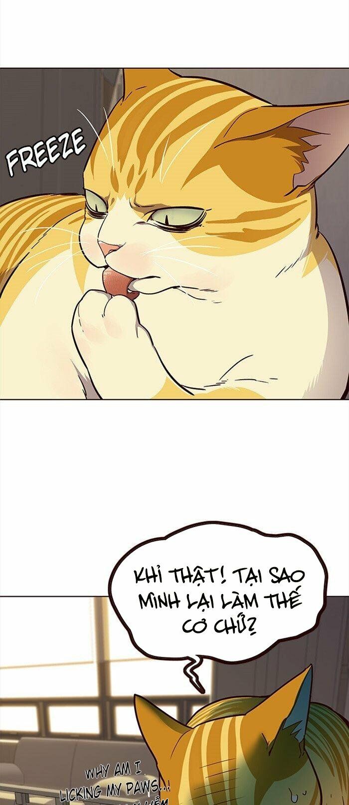 Hoá Thân Thành Mèo: Chapter 29