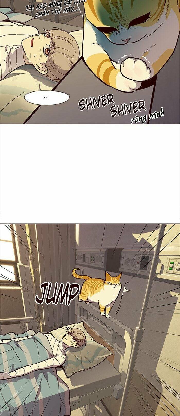 Hoá Thân Thành Mèo: Chapter 29