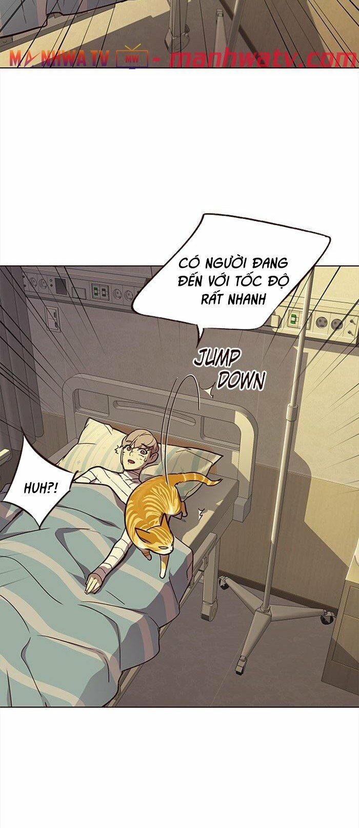 Hoá Thân Thành Mèo: Chapter 29