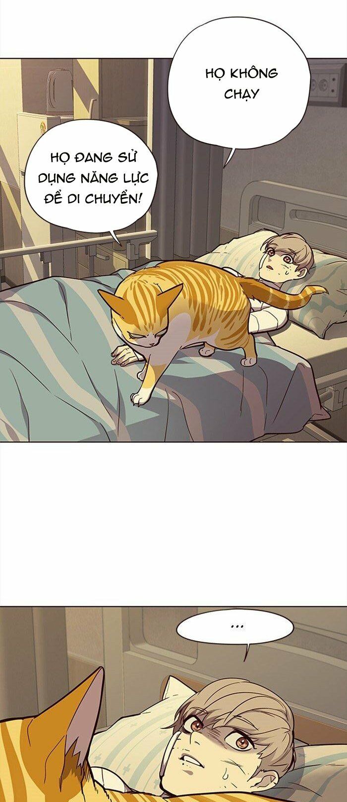 Hoá Thân Thành Mèo: Chapter 29