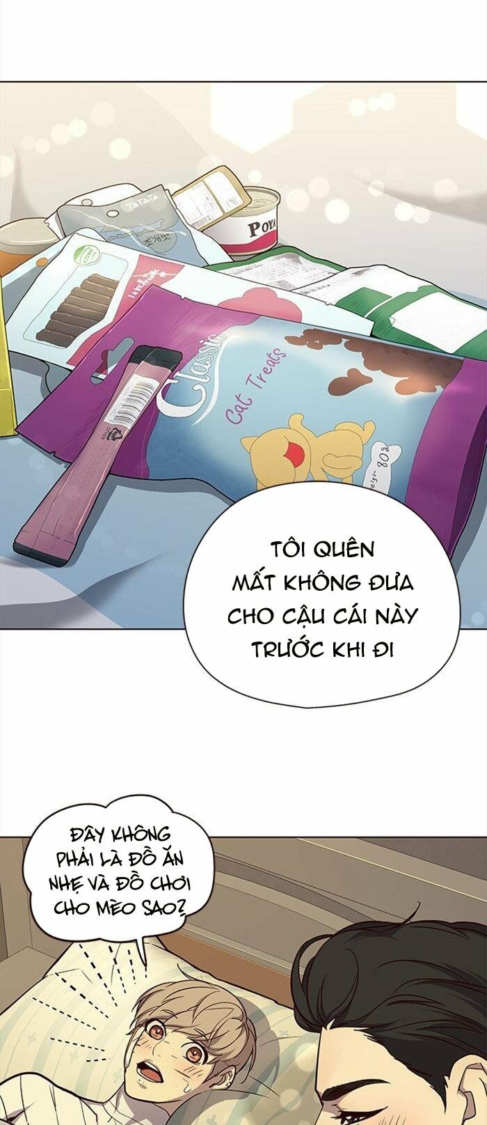 Hoá Thân Thành Mèo: Chapter 29
