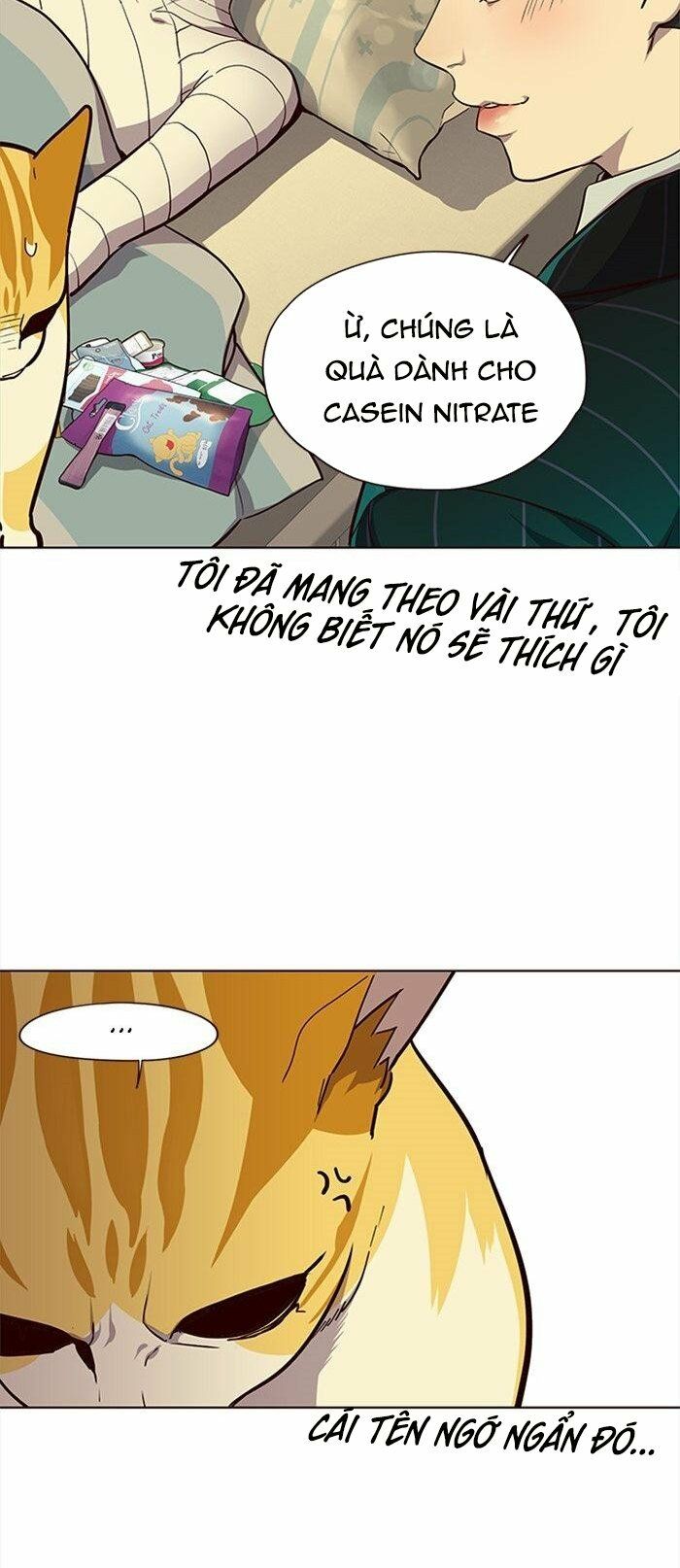 Hoá Thân Thành Mèo: Chapter 29