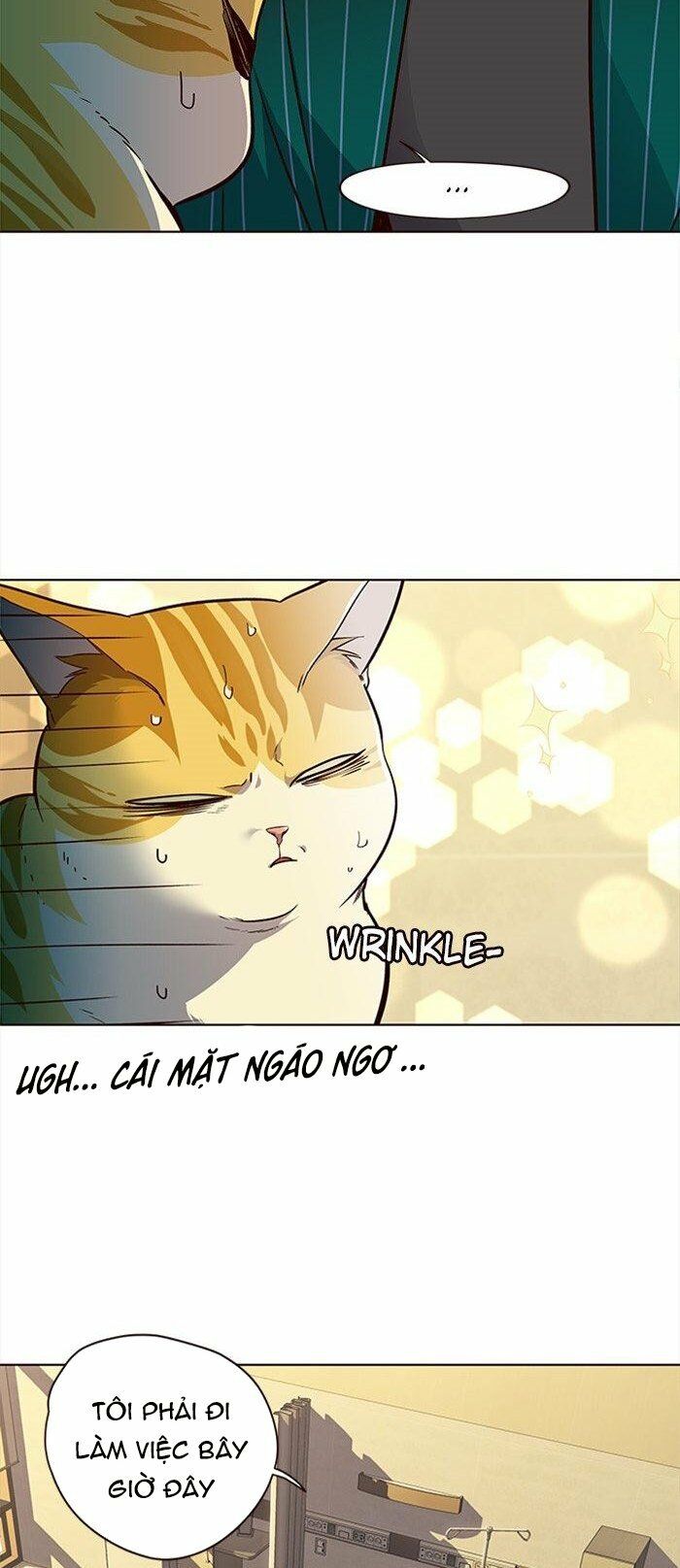 Hoá Thân Thành Mèo: Chapter 29