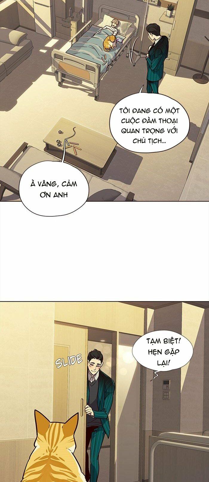Hoá Thân Thành Mèo: Chapter 29