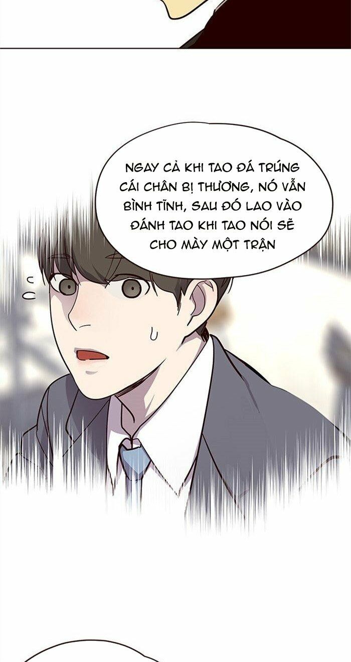 Hoá Thân Thành Mèo: Chapter 29