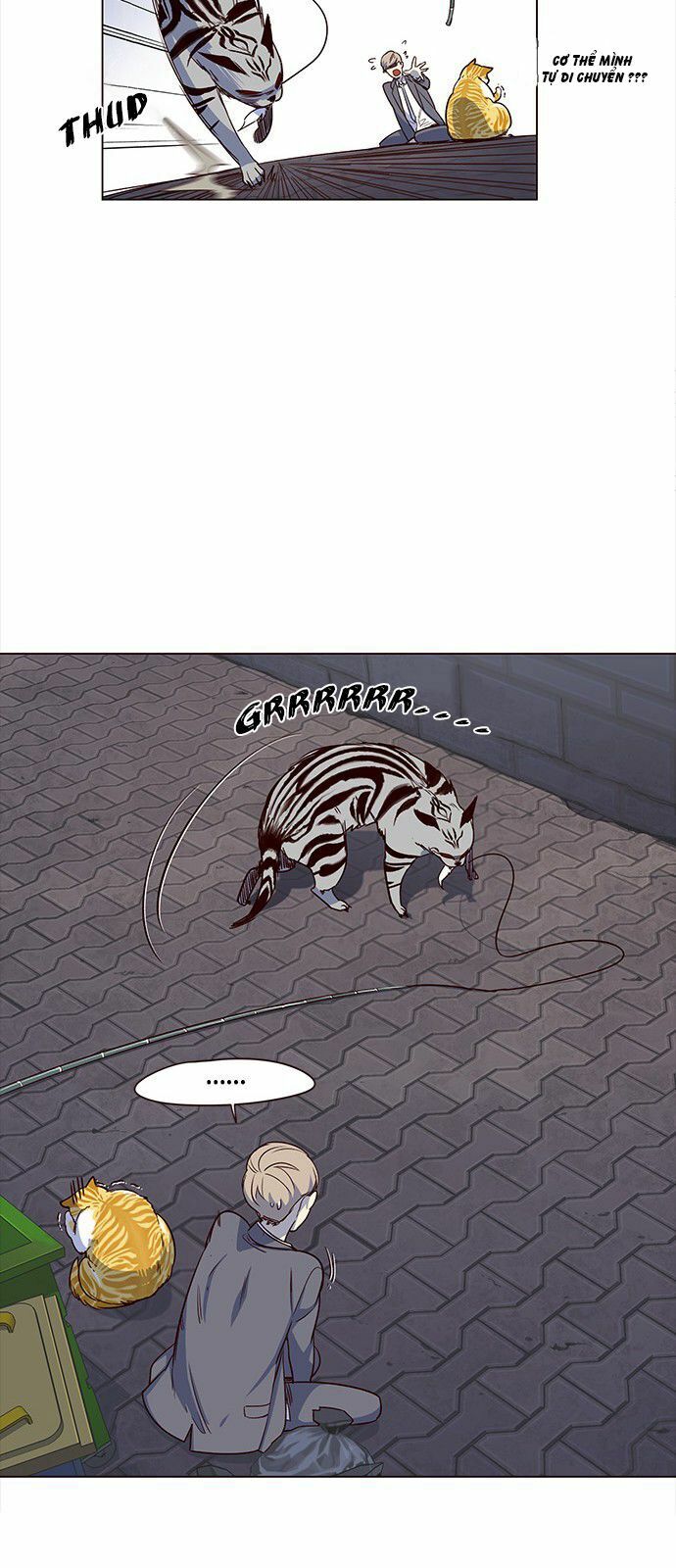 Hoá Thân Thành Mèo: Chapter 3