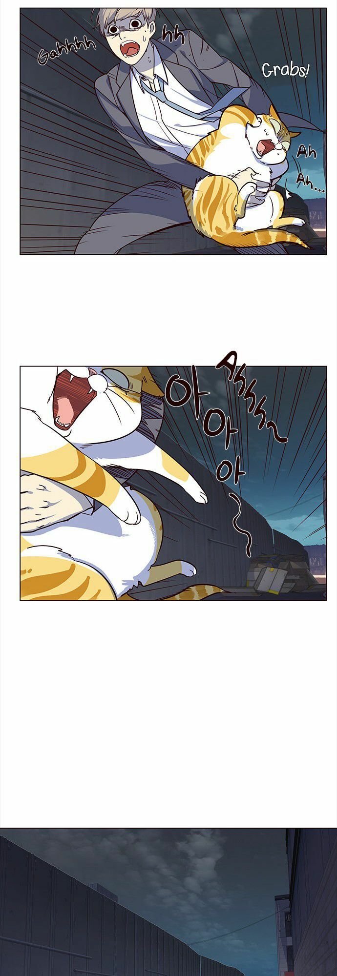Hoá Thân Thành Mèo: Chapter 3