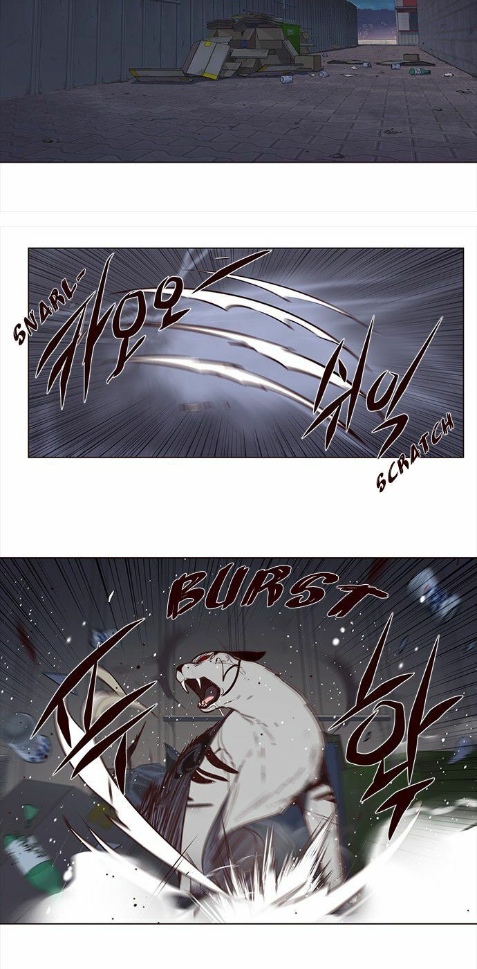 Hoá Thân Thành Mèo: Chapter 3