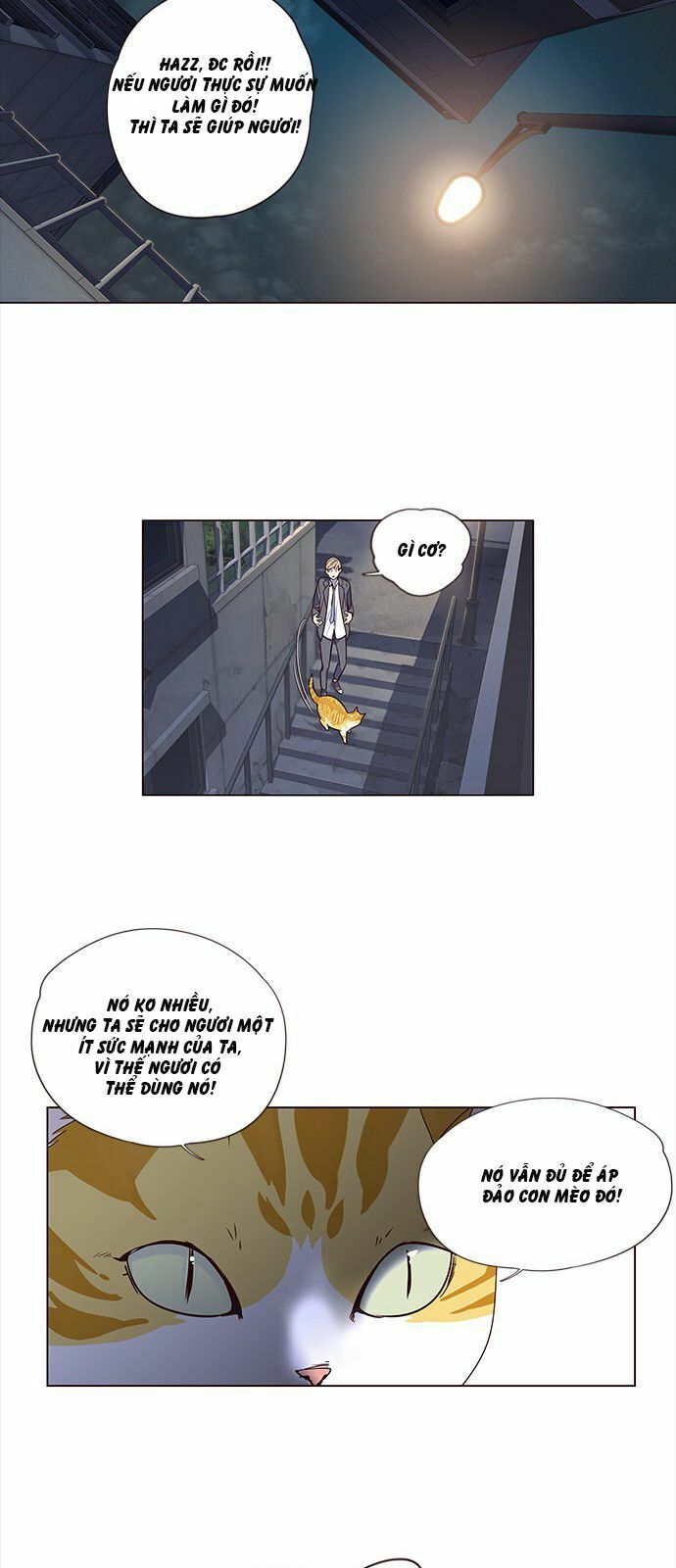 Hoá Thân Thành Mèo: Chapter 3
