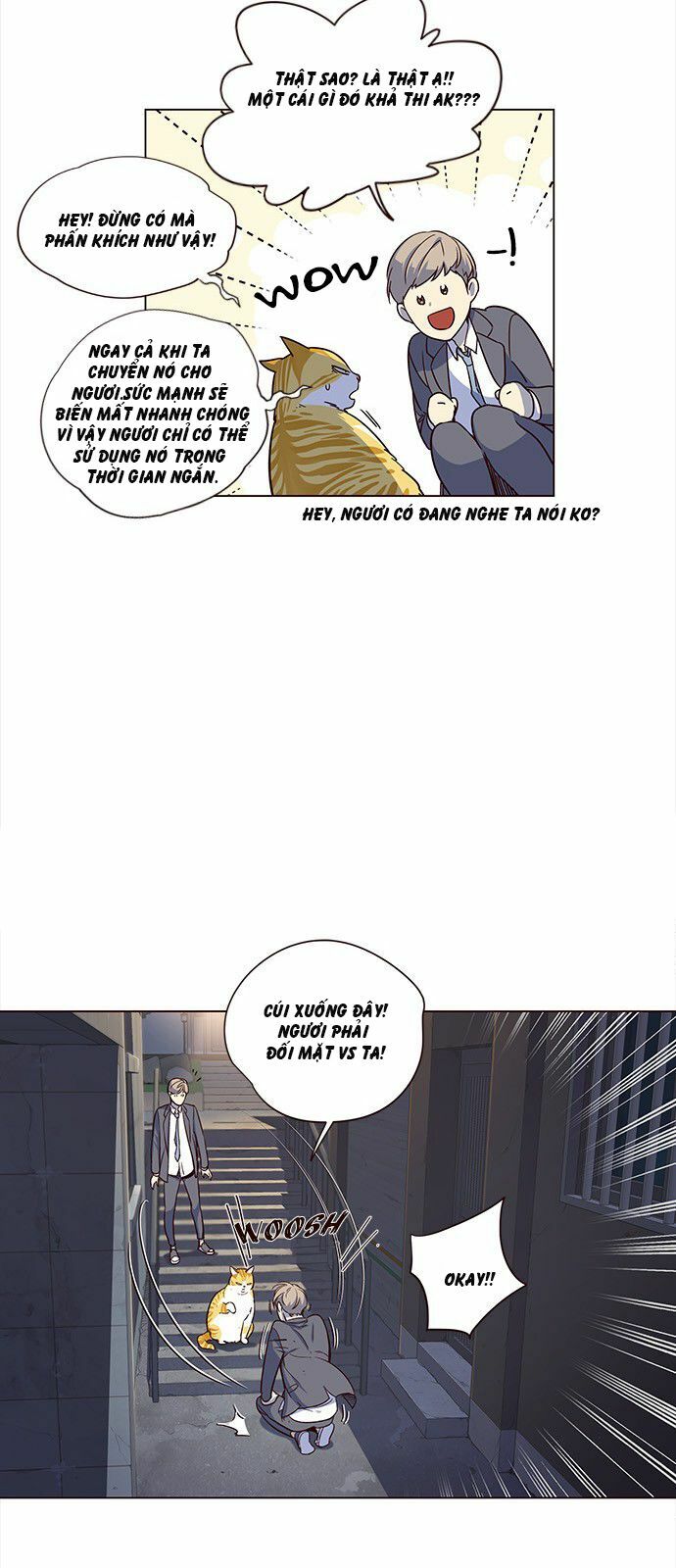 Hoá Thân Thành Mèo: Chapter 3