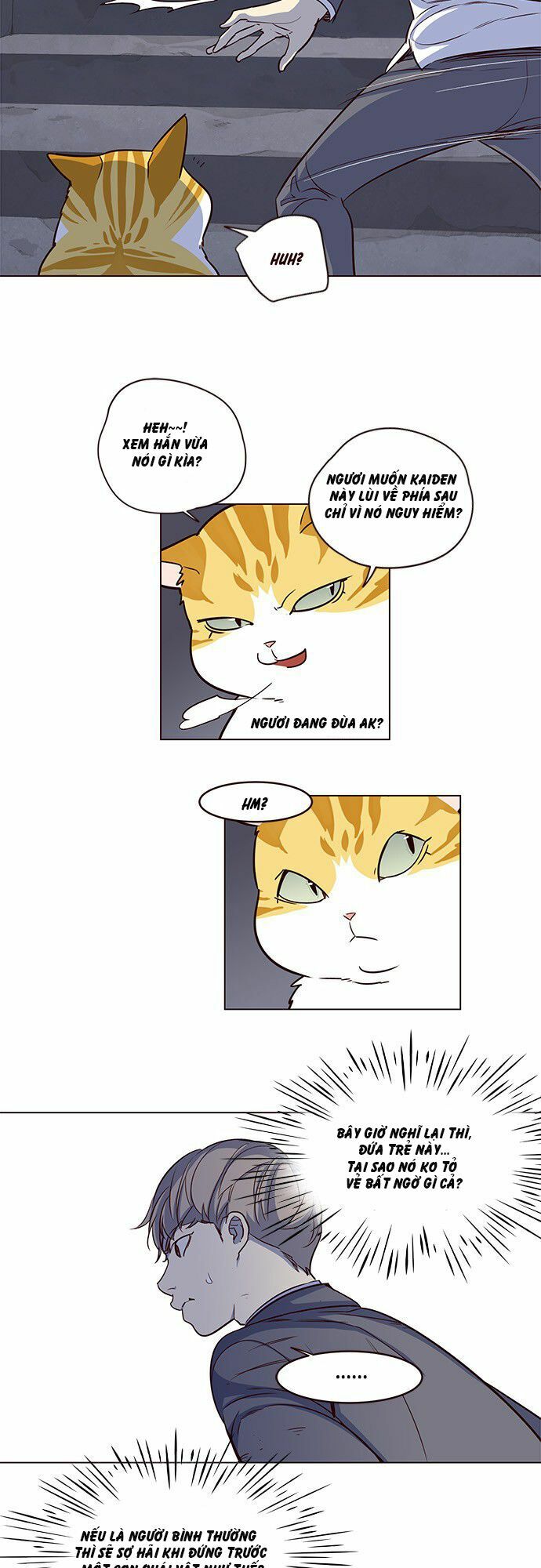 Hoá Thân Thành Mèo: Chapter 3