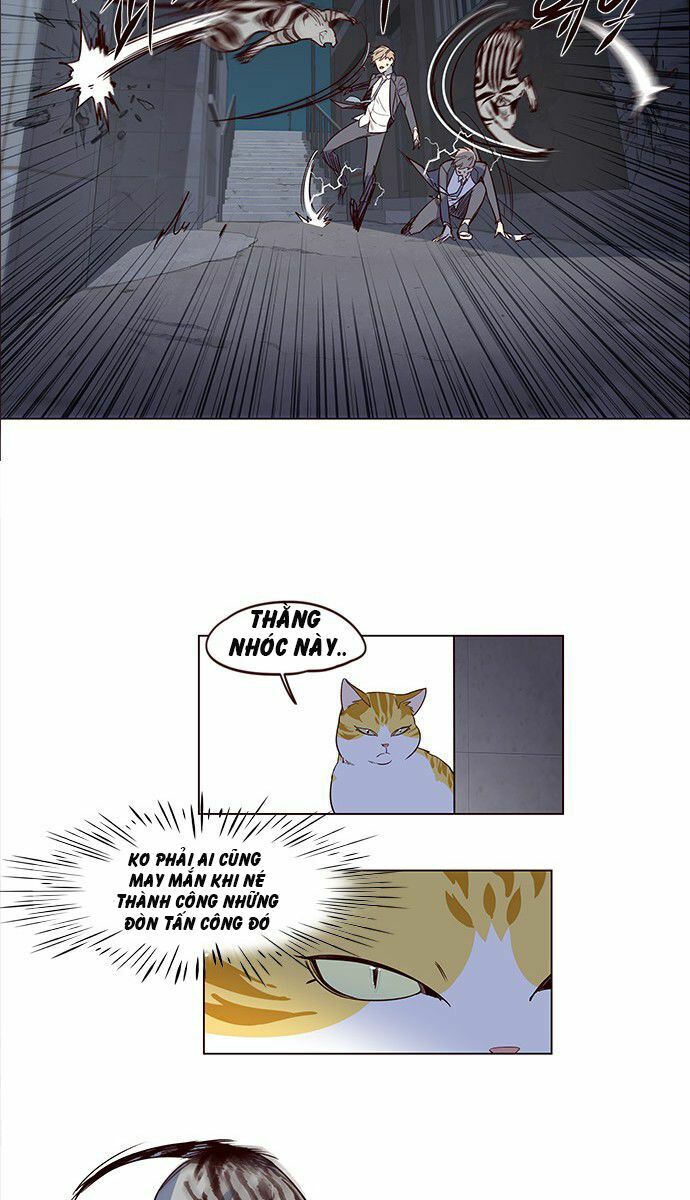 Hoá Thân Thành Mèo: Chapter 3