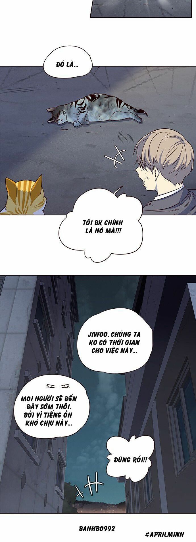Hoá Thân Thành Mèo: Chapter 3