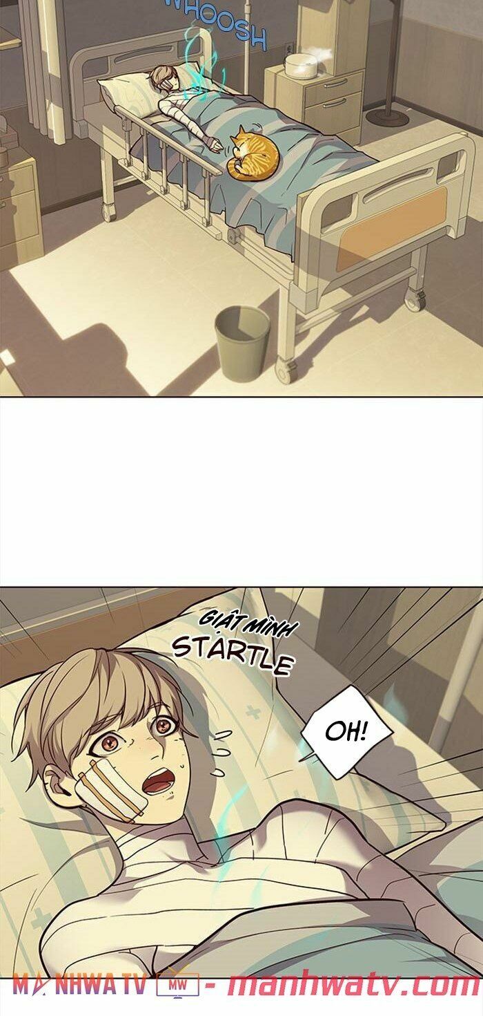 Hoá Thân Thành Mèo: Chapter 30