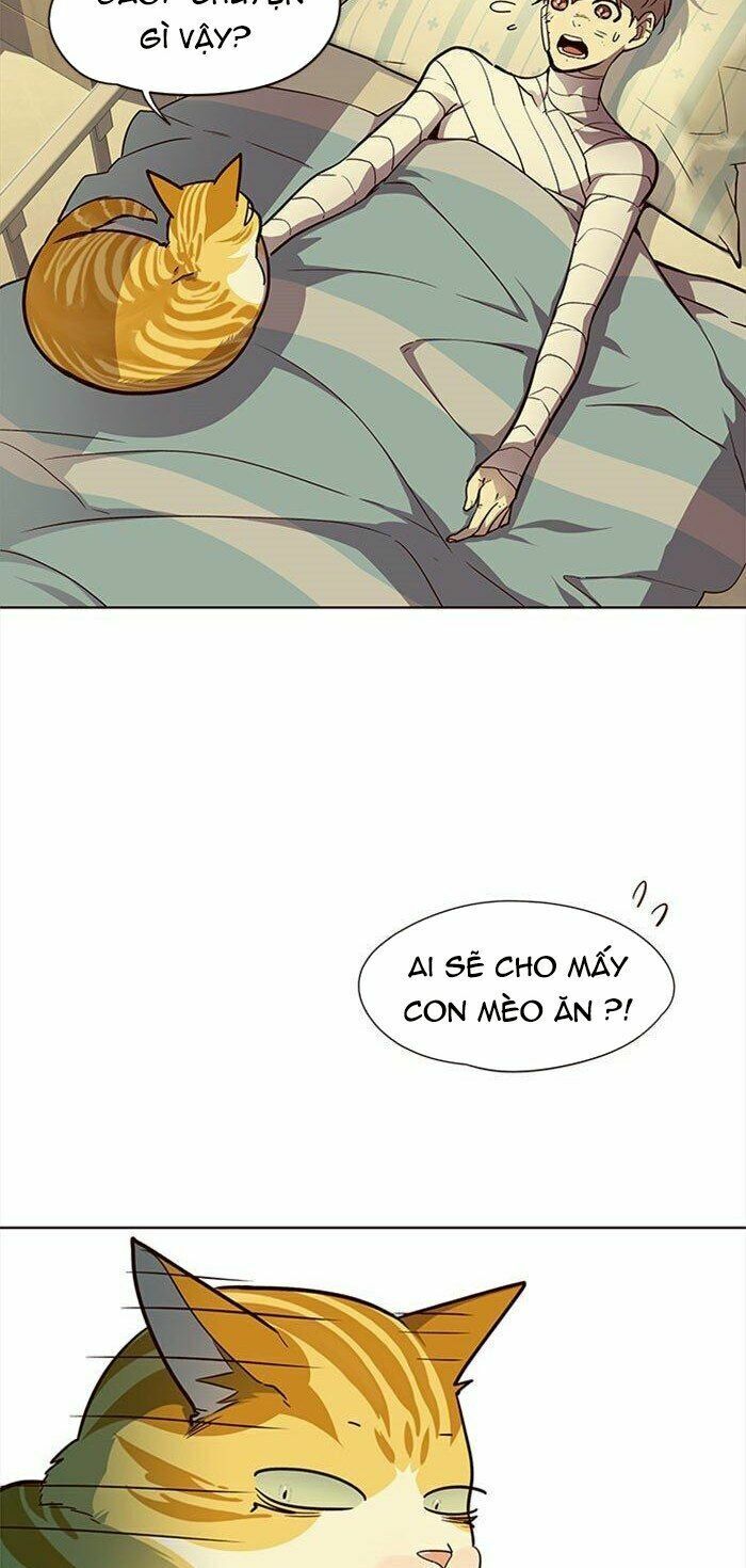 Hoá Thân Thành Mèo: Chapter 30