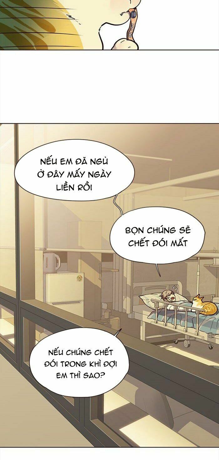 Hoá Thân Thành Mèo: Chapter 30