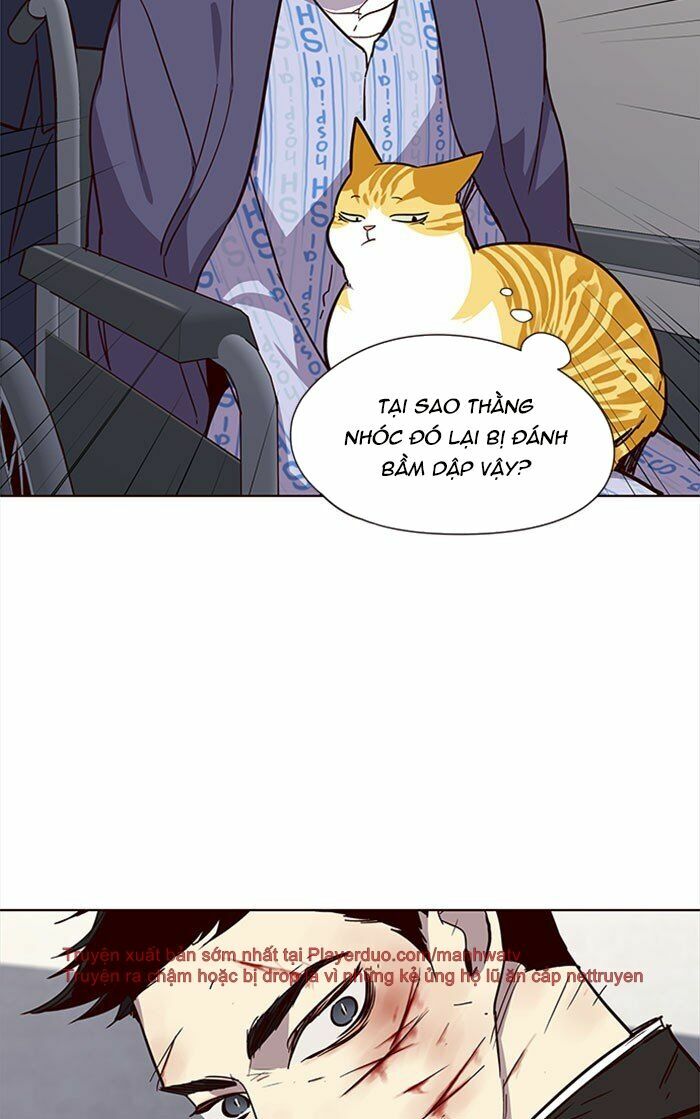 Hoá Thân Thành Mèo: Chapter 32