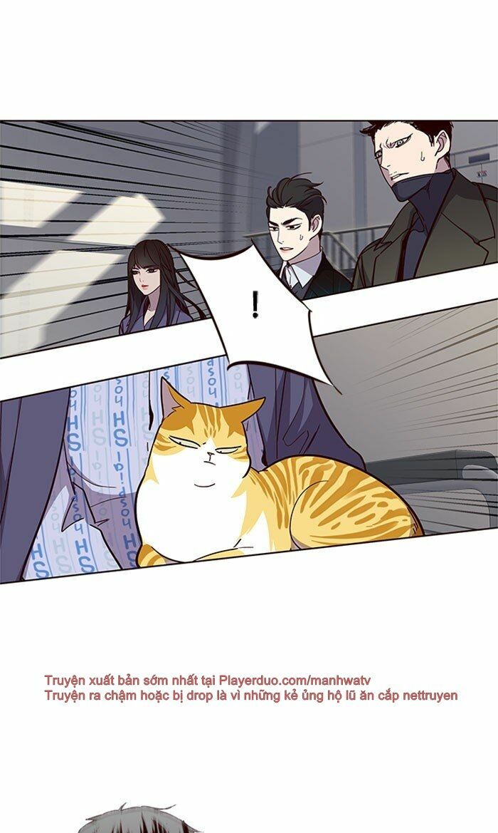 Hoá Thân Thành Mèo: Chapter 32