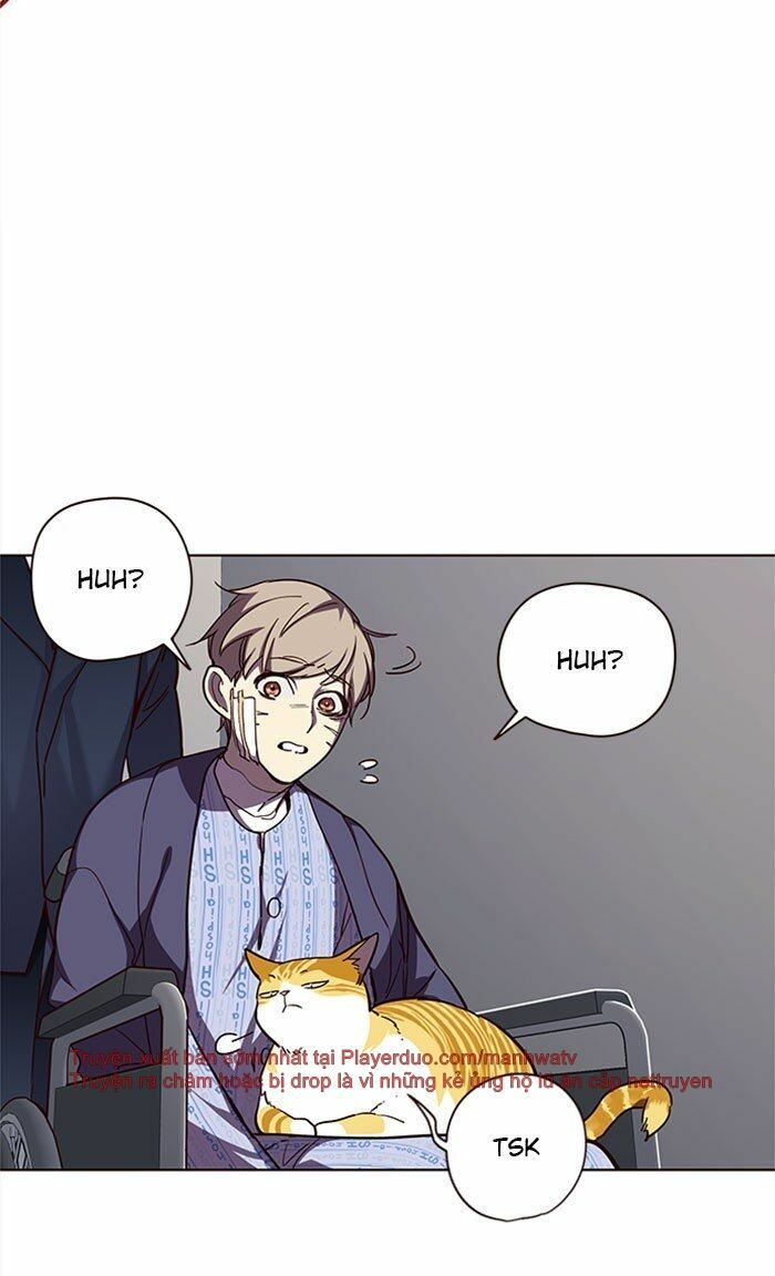 Hoá Thân Thành Mèo: Chapter 32