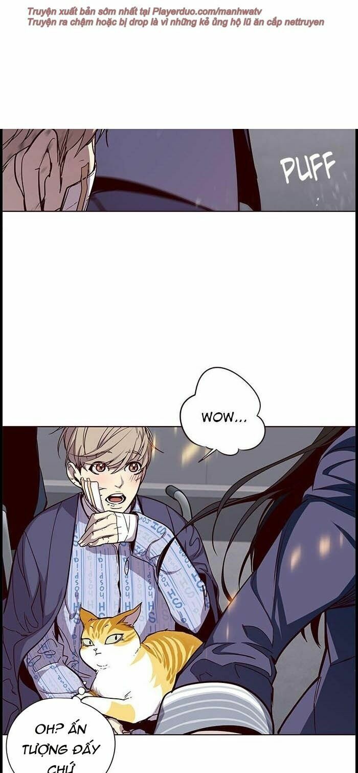 Hoá Thân Thành Mèo: Chapter 33