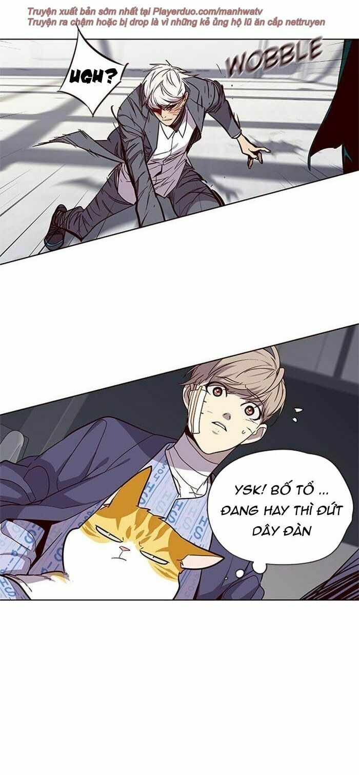 Hoá Thân Thành Mèo: Chapter 33