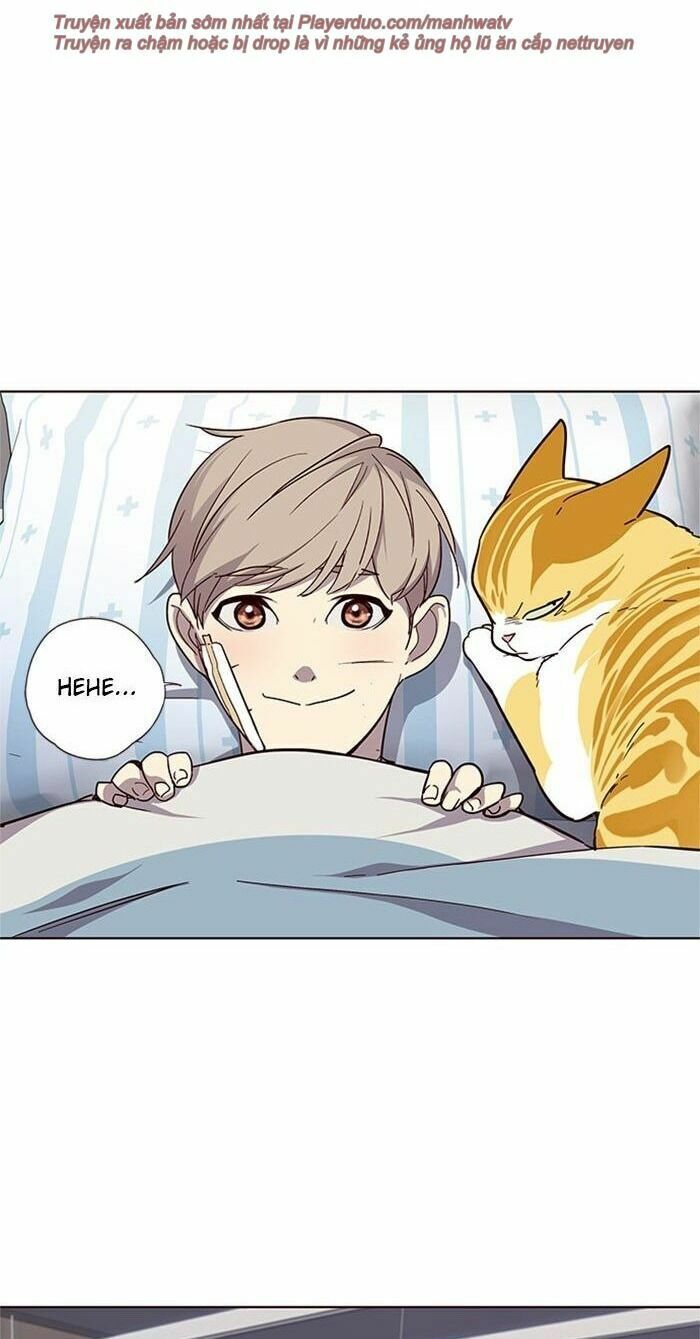 Hoá Thân Thành Mèo: Chapter 33