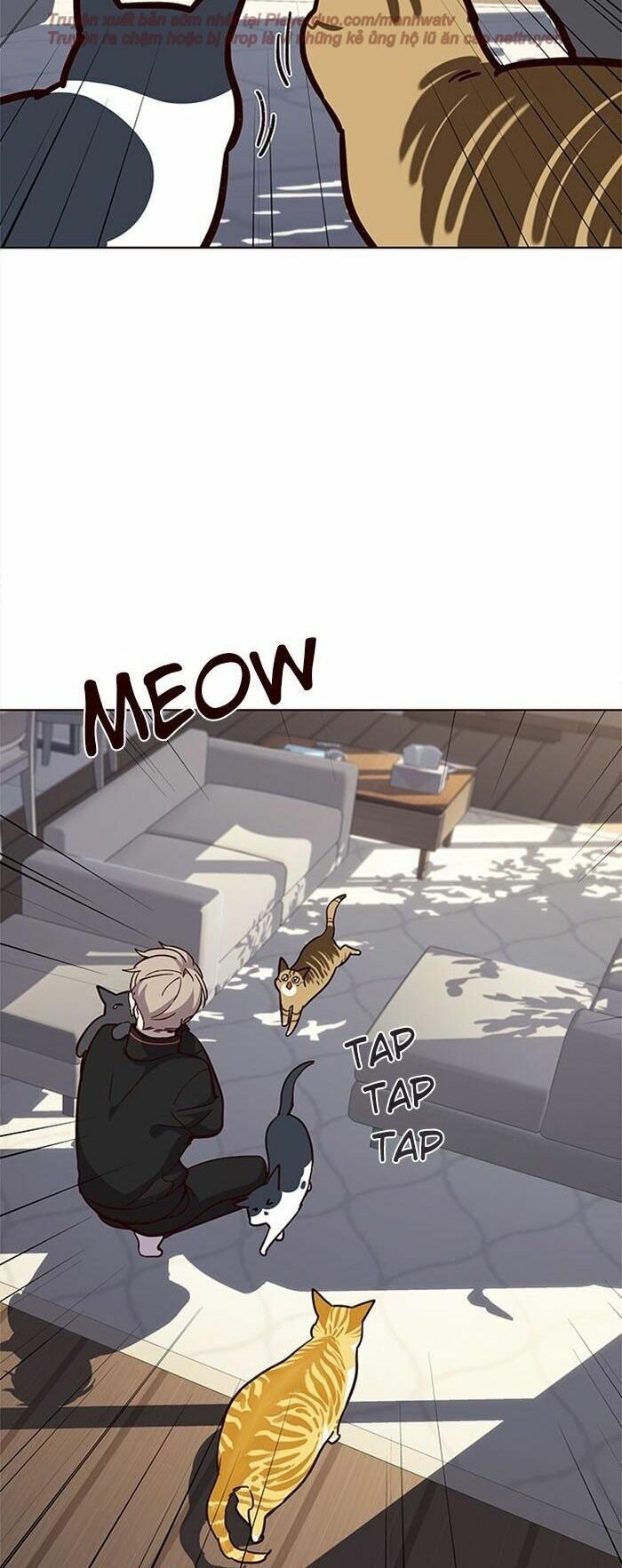 Hoá Thân Thành Mèo: Chapter 34