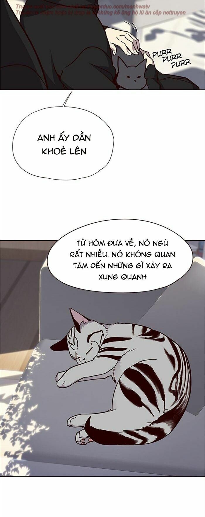 Hoá Thân Thành Mèo: Chapter 34