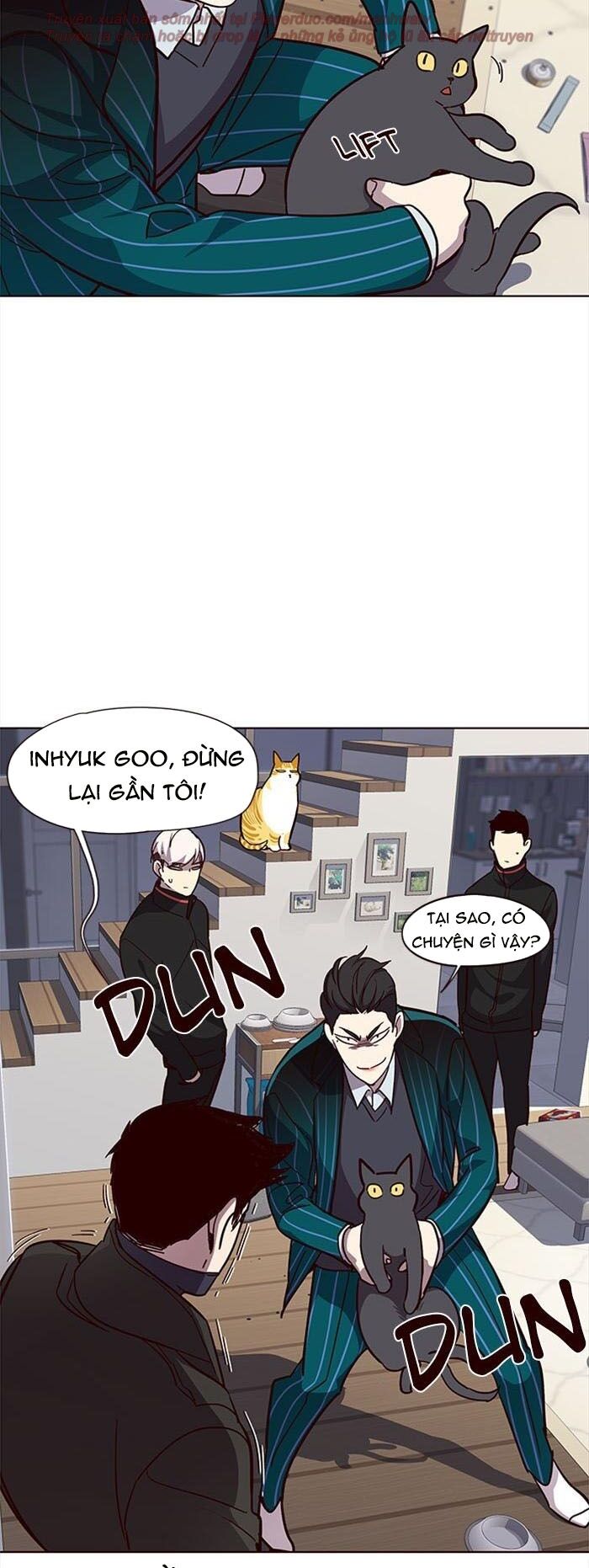 Hoá Thân Thành Mèo: Chapter 35