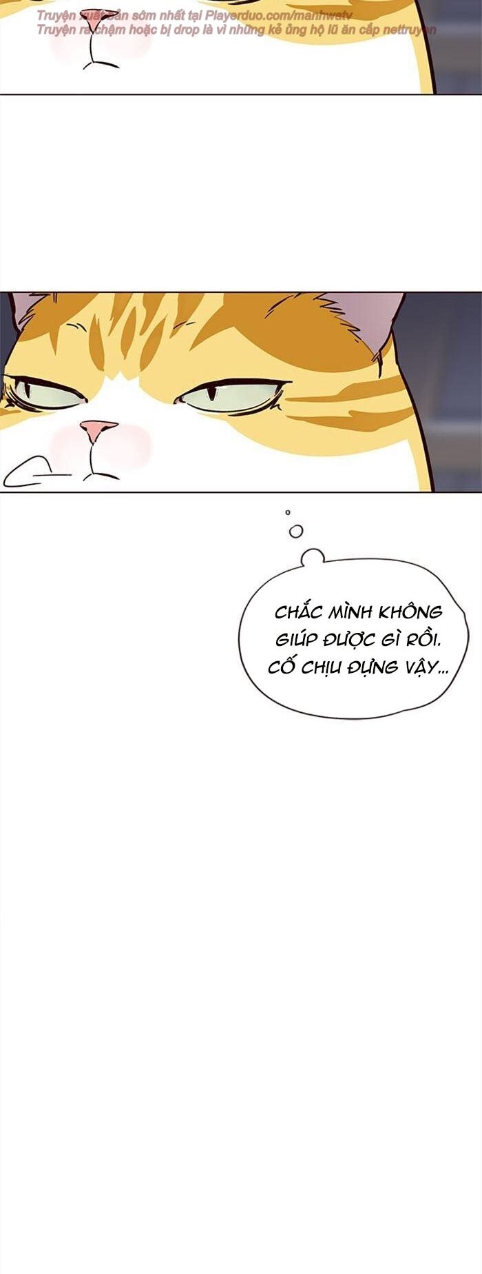 Hoá Thân Thành Mèo: Chapter 35