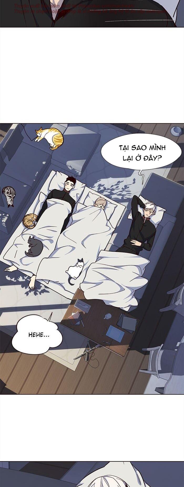 Hoá Thân Thành Mèo: Chapter 35