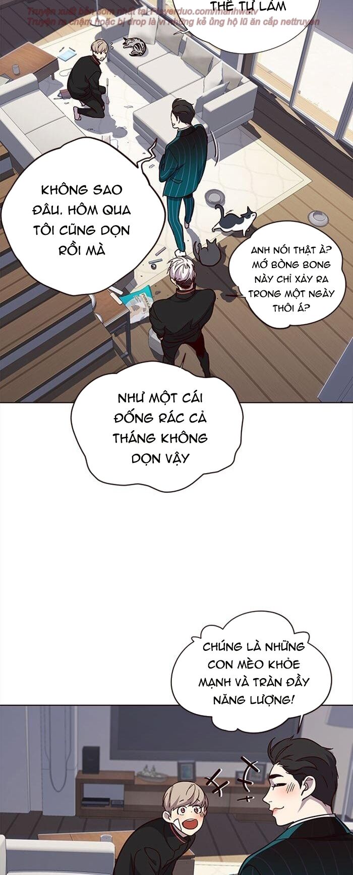 Hoá Thân Thành Mèo: Chapter 35