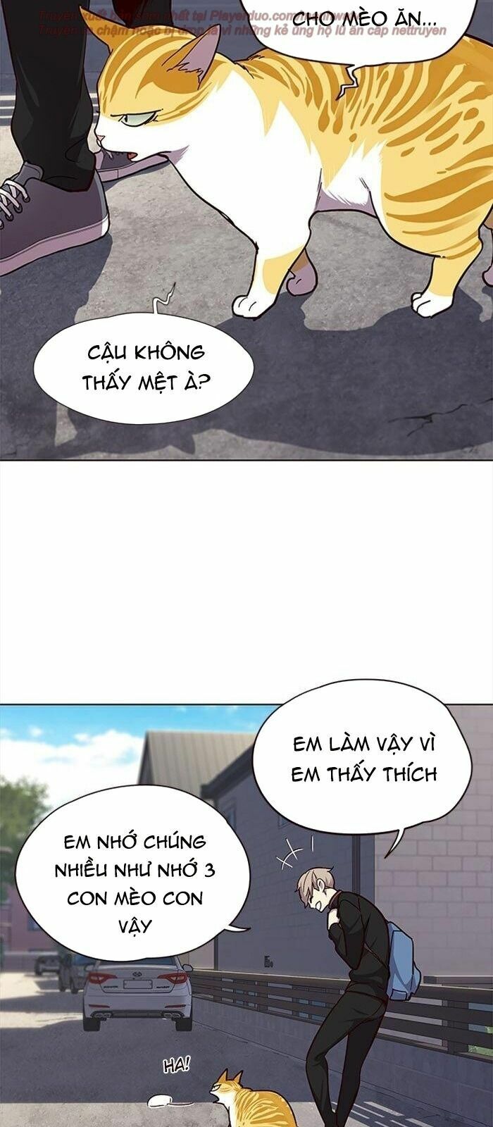 Hoá Thân Thành Mèo: Chapter 36