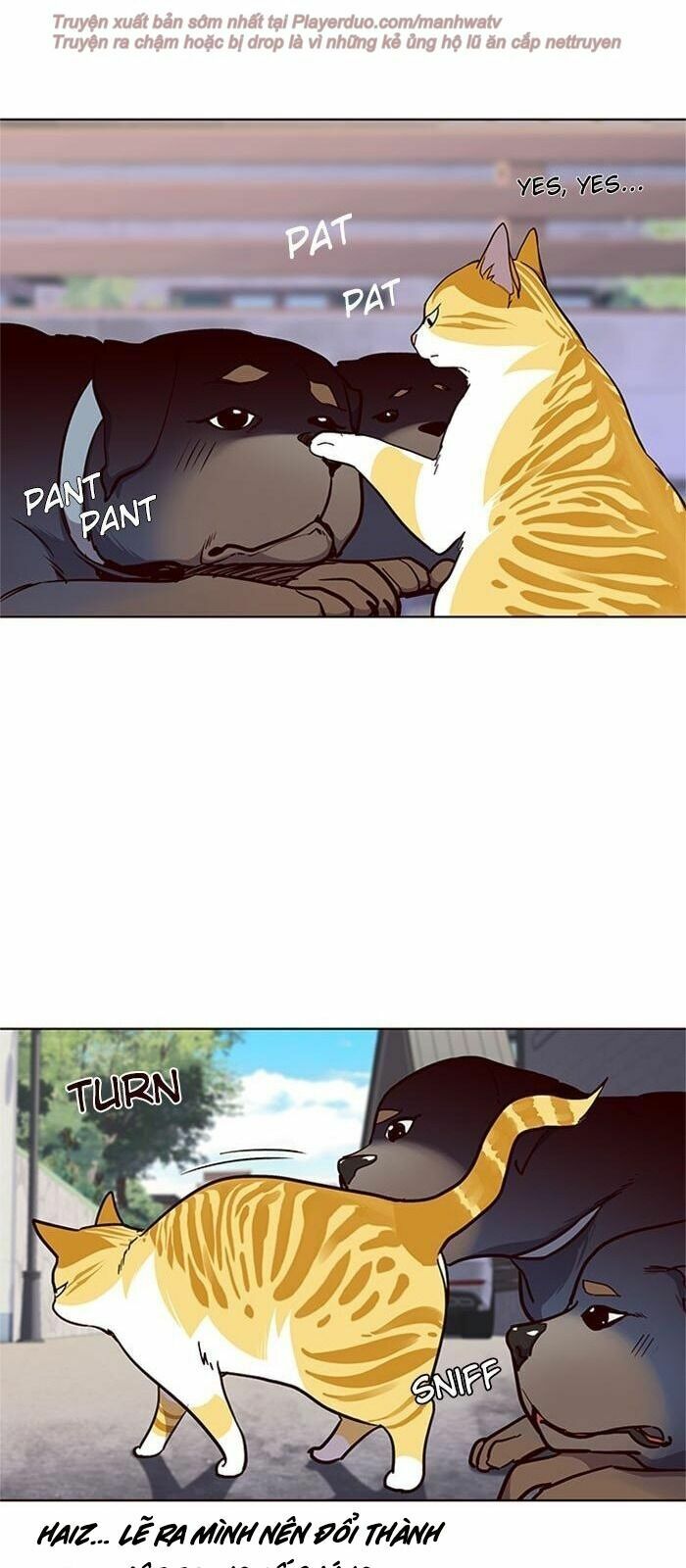 Hoá Thân Thành Mèo: Chapter 36