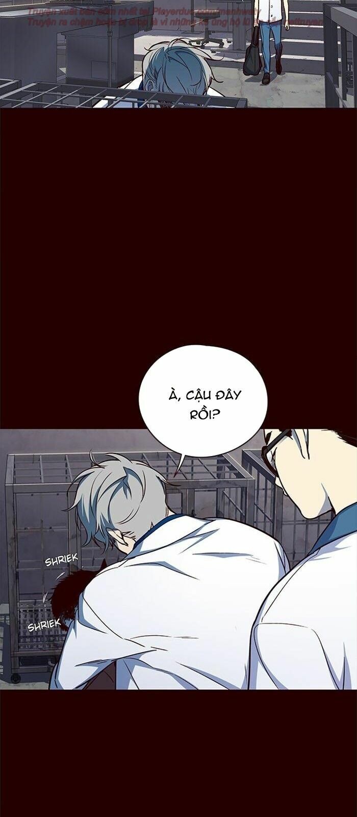 Hoá Thân Thành Mèo: Chapter 36