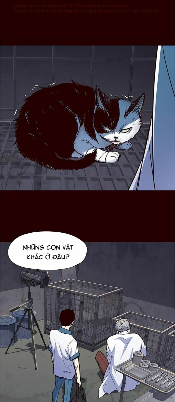 Hoá Thân Thành Mèo: Chapter 36