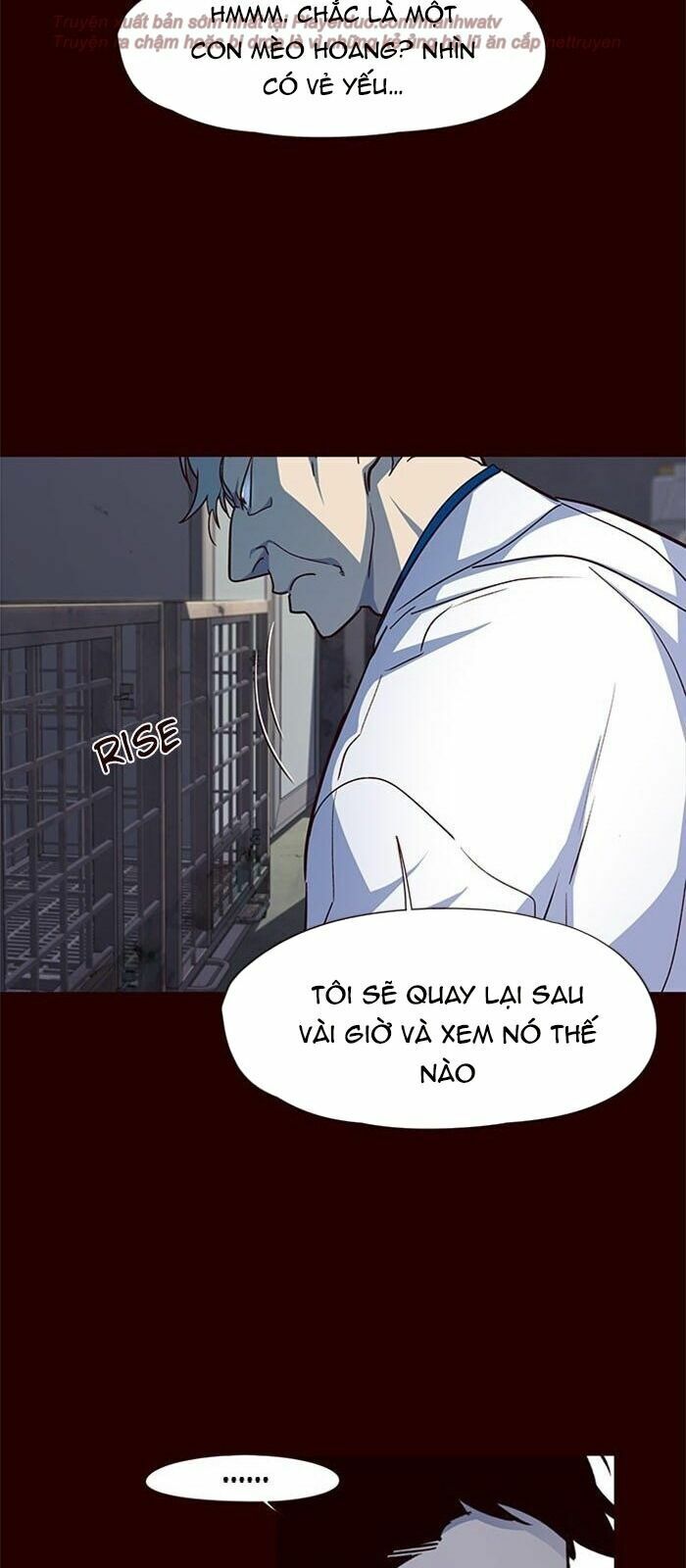 Hoá Thân Thành Mèo: Chapter 36