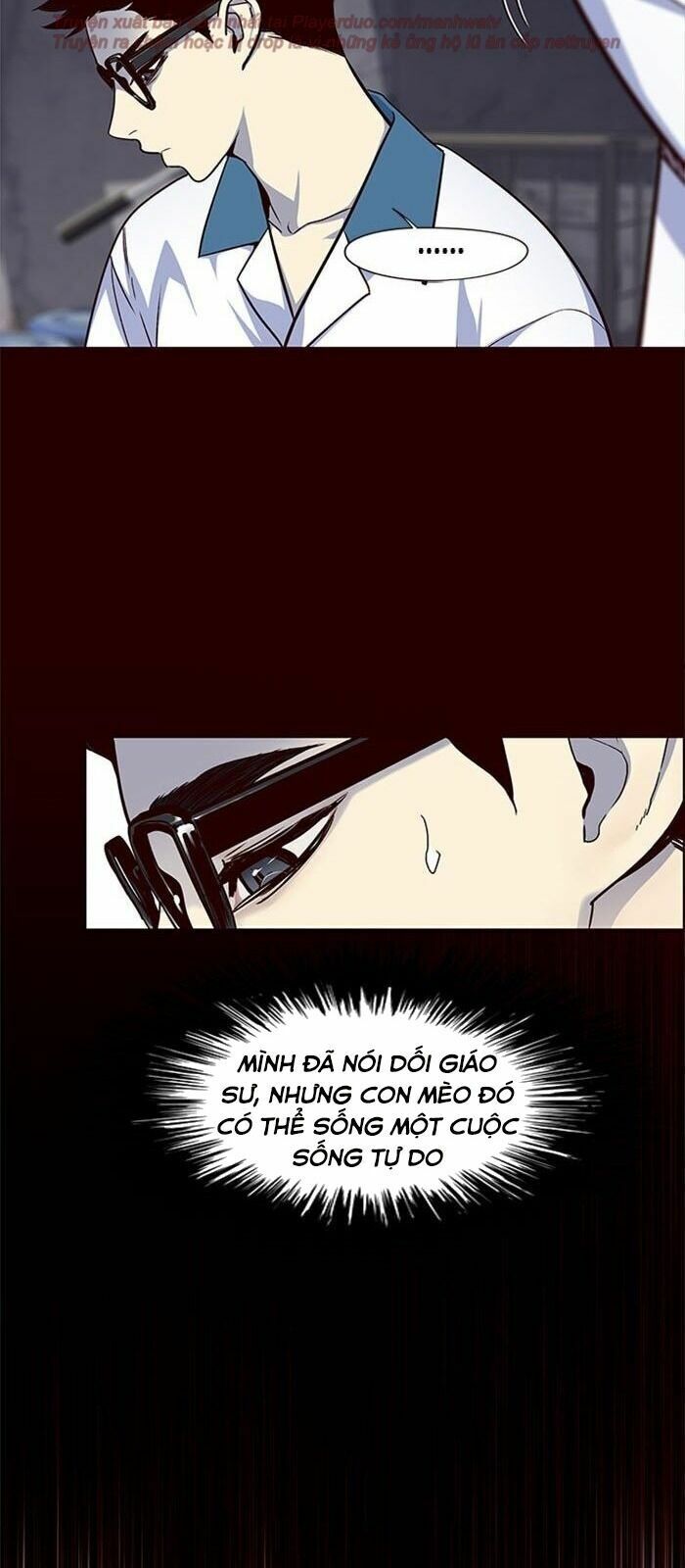 Hoá Thân Thành Mèo: Chapter 36