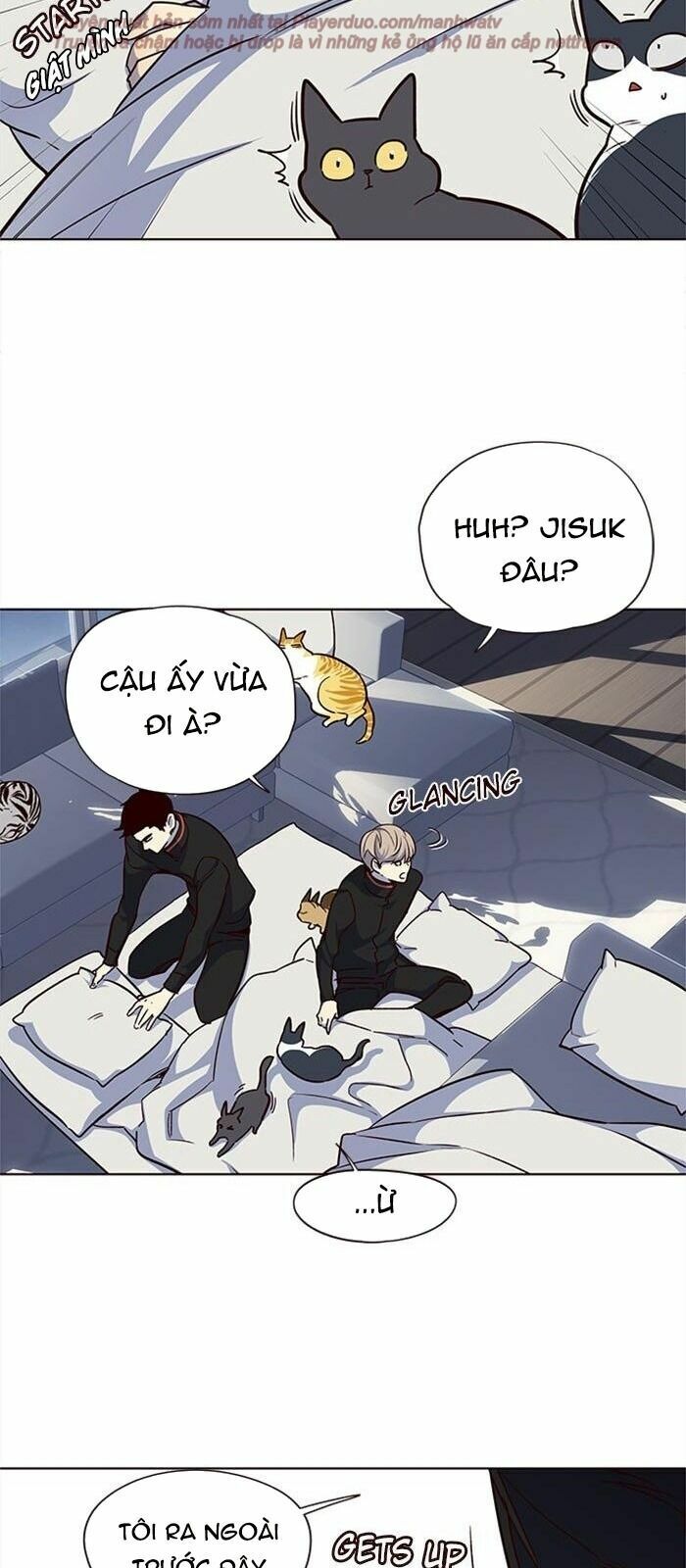 Hoá Thân Thành Mèo: Chapter 36