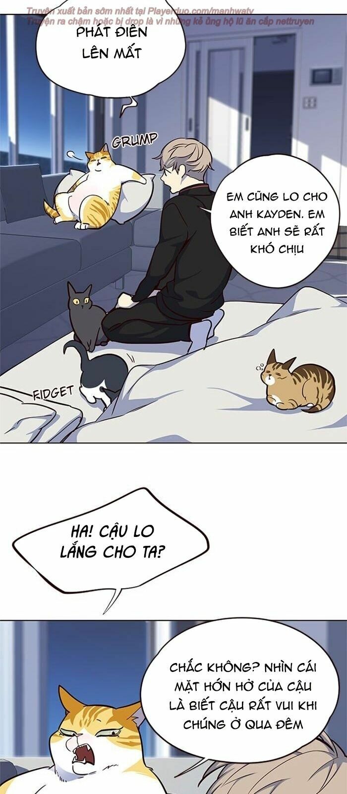 Hoá Thân Thành Mèo: Chapter 36