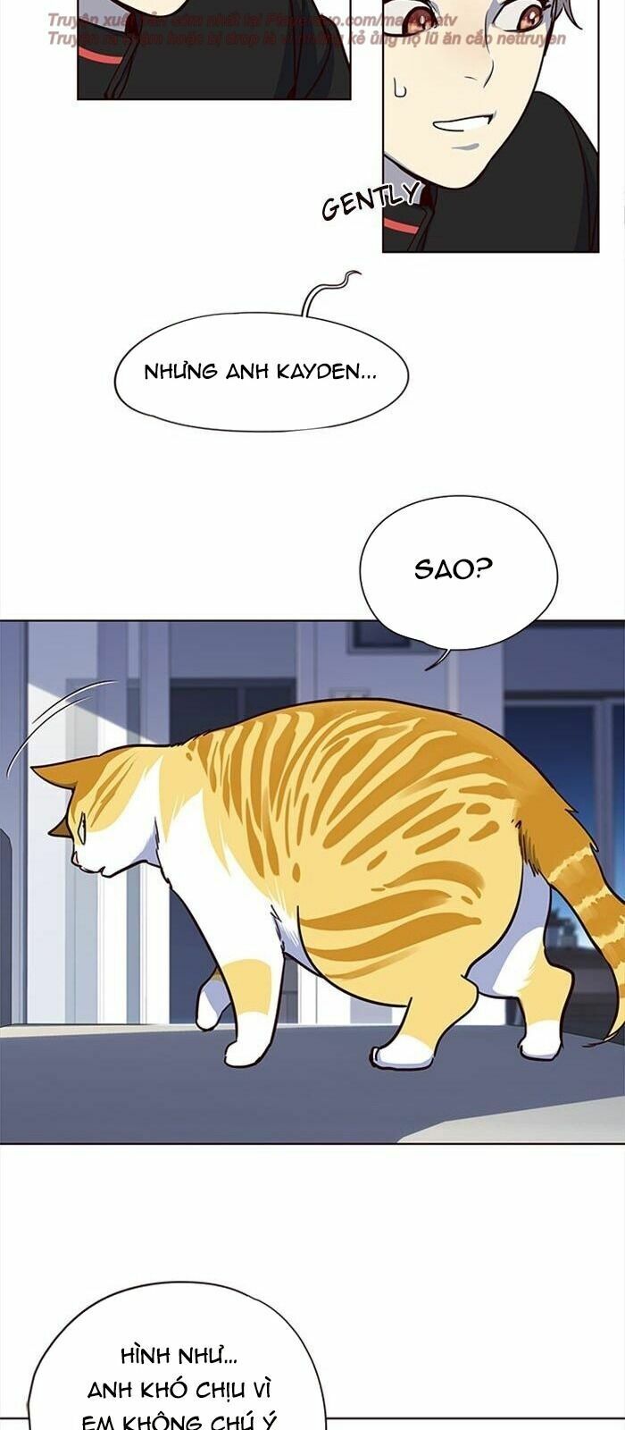 Hoá Thân Thành Mèo: Chapter 36