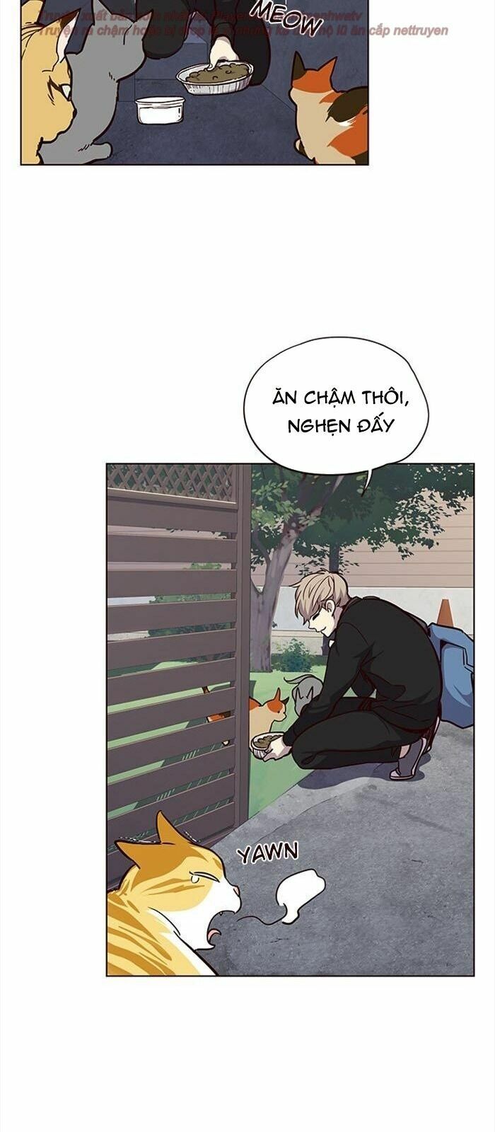 Hoá Thân Thành Mèo: Chapter 36