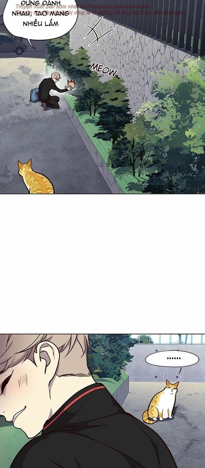 Hoá Thân Thành Mèo: Chapter 36